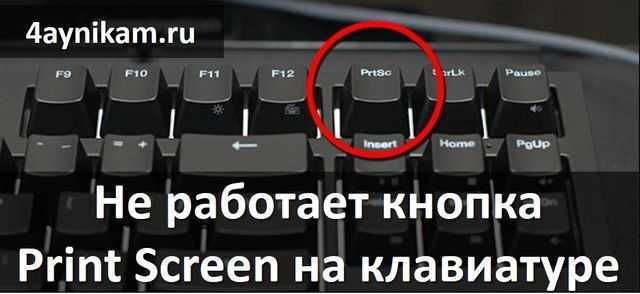 Не работает print screen на клавиатуре — что делать?