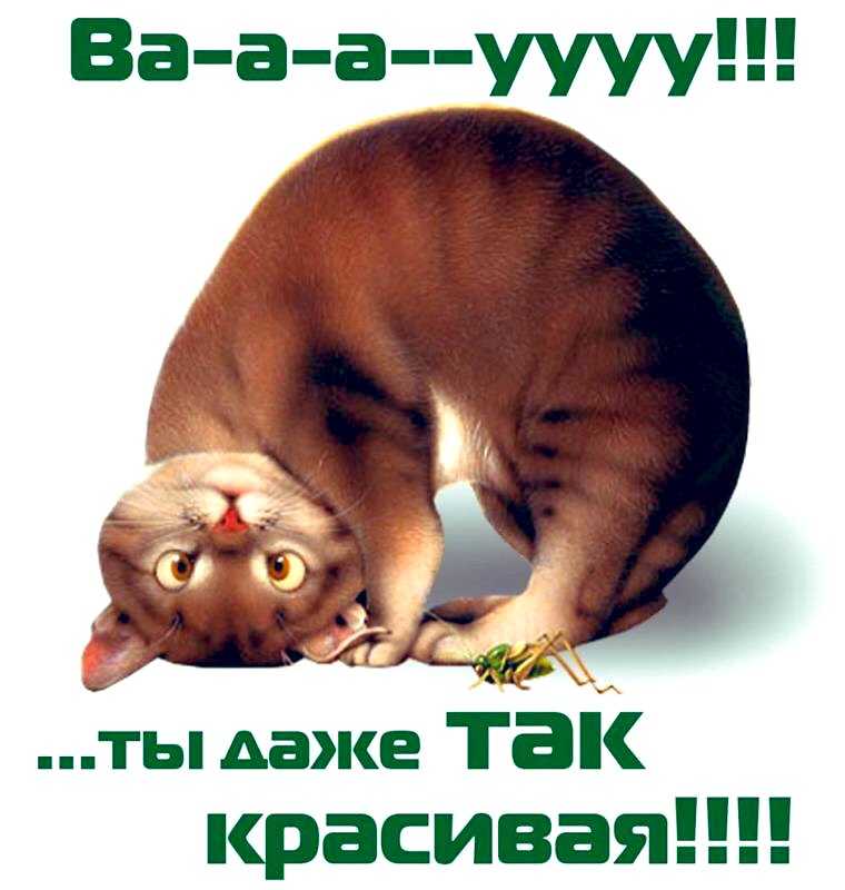 41 самый красивый комплимент для девушки, чтобы она растаяла и влюбилась.