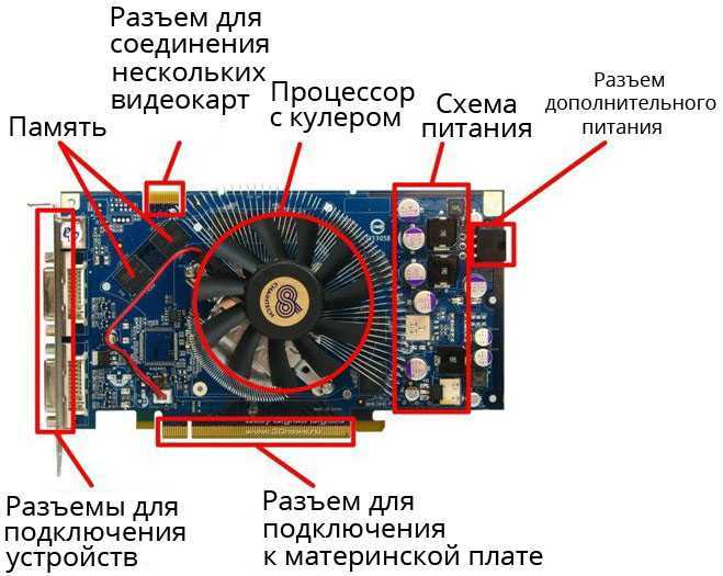 Как узнать какая видеокарта стоит на компьютере