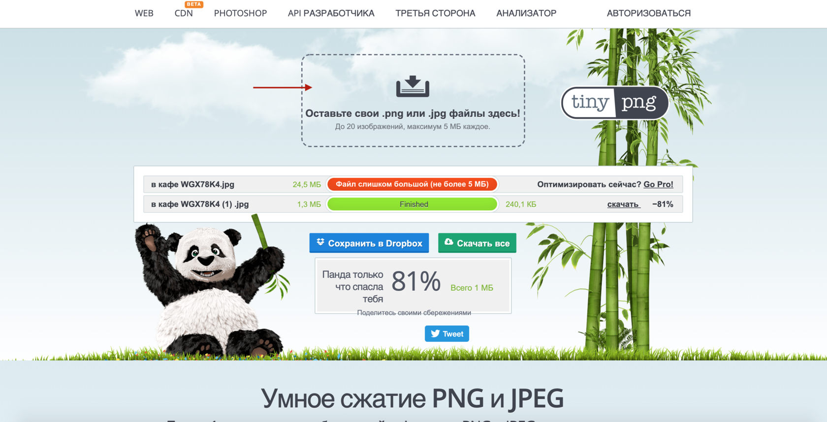 Как использовать webp для оптимизации картинок на сайте