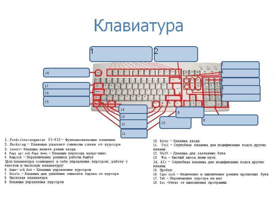 Для чего нужны функциональные клавиши f1-f12 на клавиатуре
