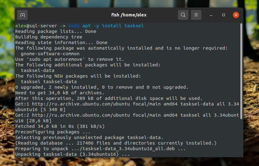 Apache - установка и настройка. установка apache в windows, настройка php, virtualhost и др.