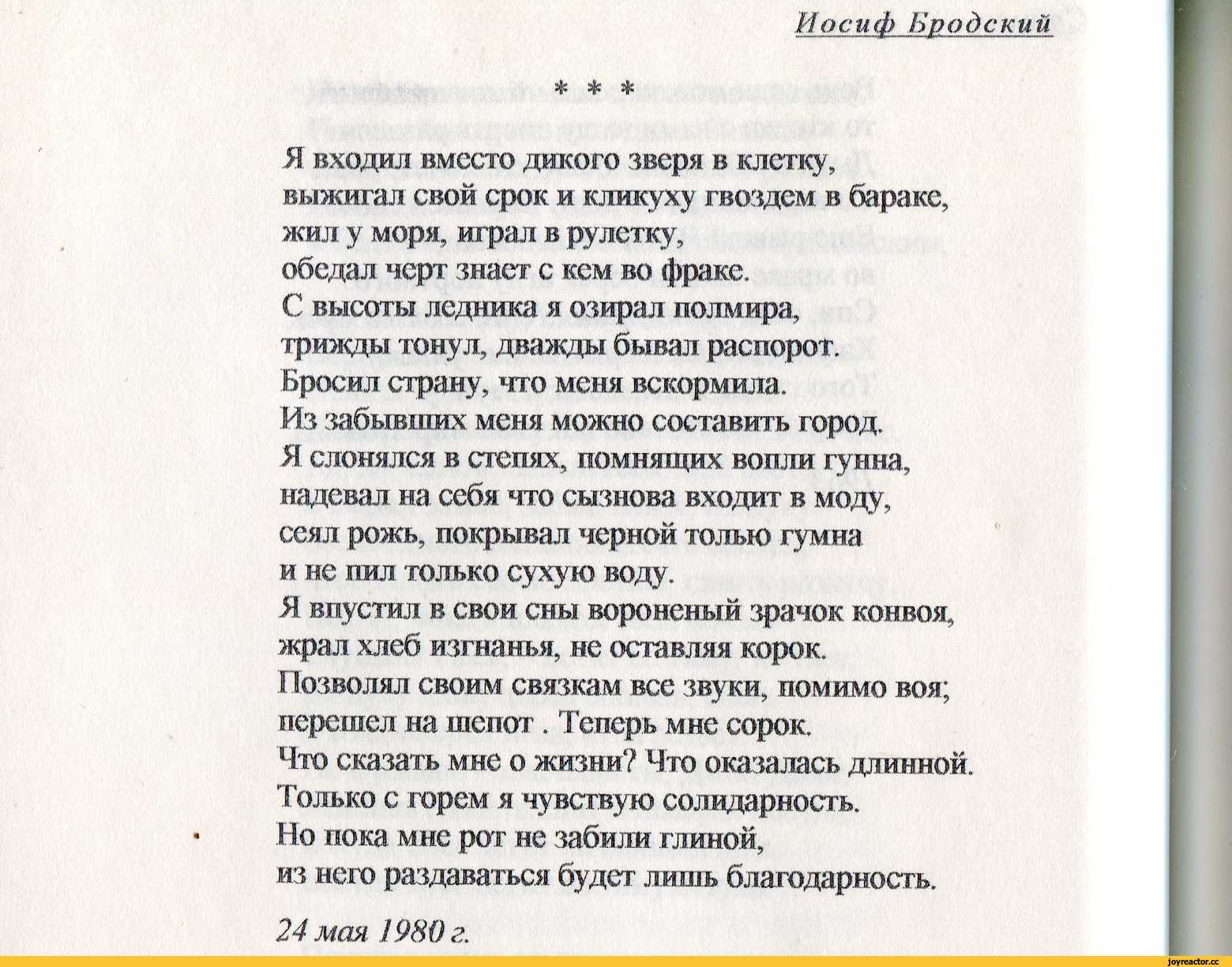 Стихи, берущие за душу - о жизни и любви | rl разные люди