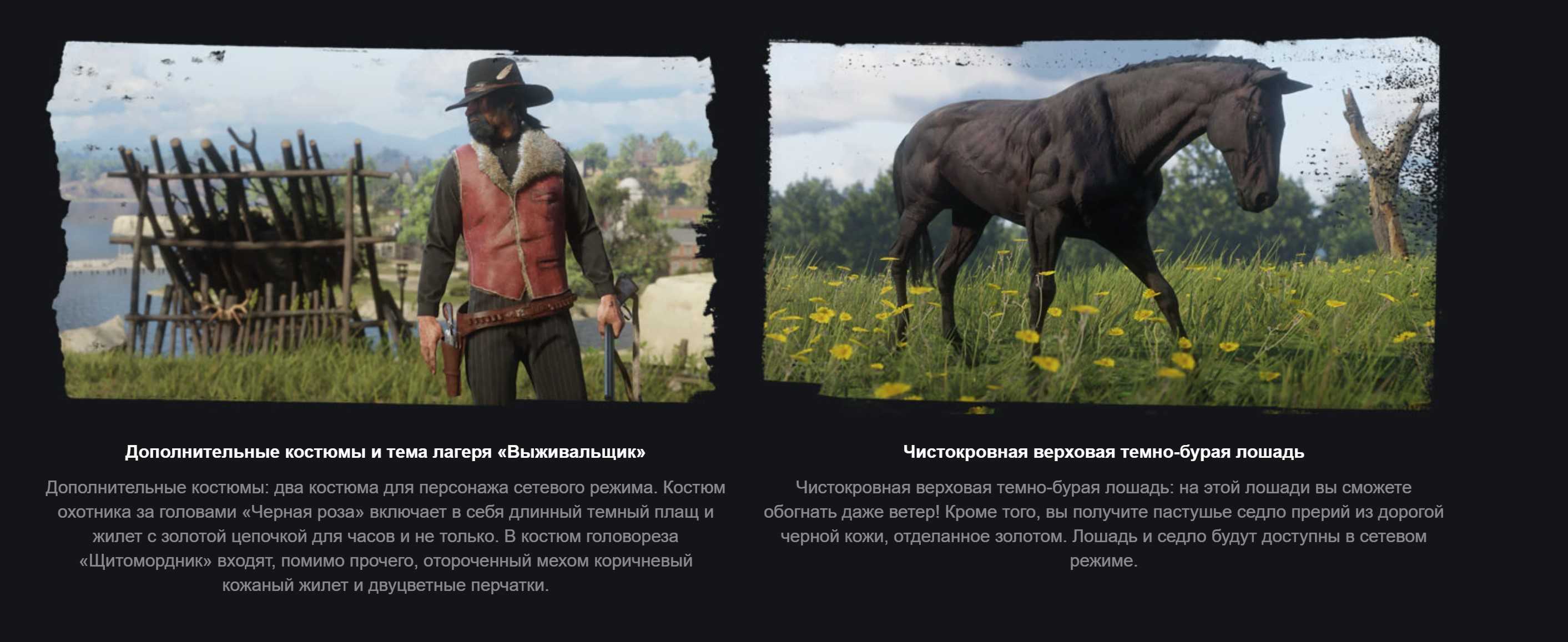 Все чит-коды для red dead redemption 2