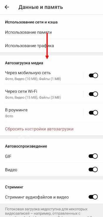 Что делать, если Telegram Desktop для Windows не показывает видео, фото и другие изображения в сообщениях Способы исправить проблему