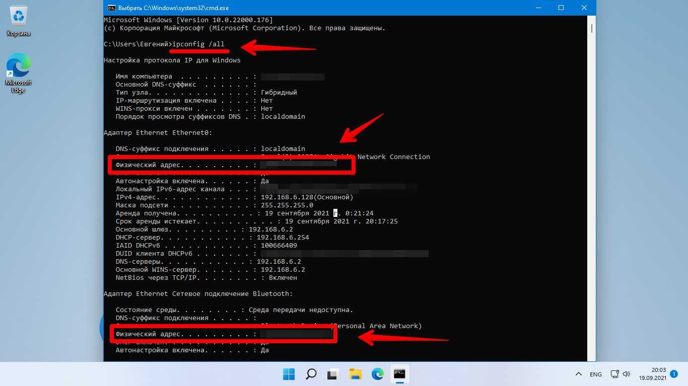 Способы посмотреть MAC-адрес компьютера или ноутбука с Windows 11 для Wi-Fi, Ethernet или Bluetooth, а также виртуальных сетевых адаптеров