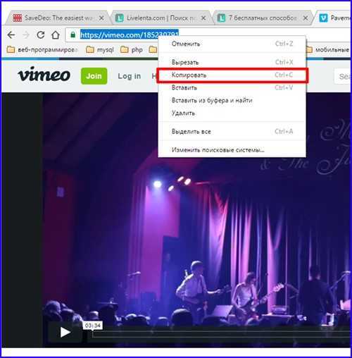 Скачать с vimeo защищенное видео ➝ linkoz.ru
