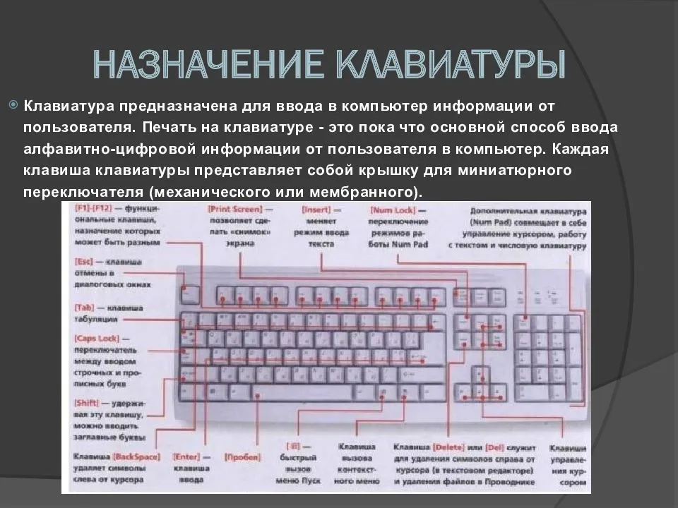 Где находится клавиша win на клавиатуре [сочетания горячих клавиш]