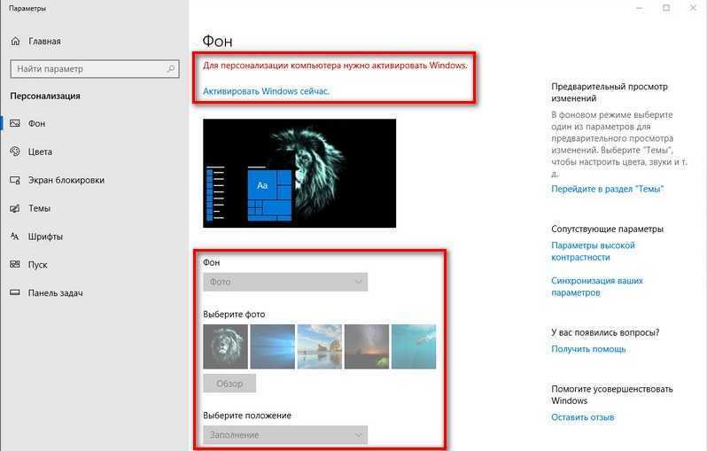 Обои windows 10 — как изменить, где хранятся, автоматическая смена и другое