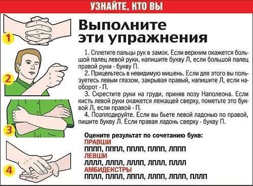 Программы для компьютера: куда делось место на диске. обзор программы wiztree